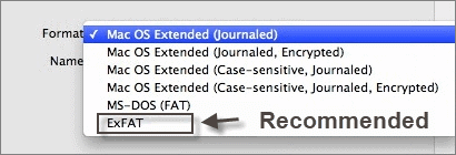 Choose a file system to format